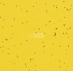 Линолеум Forbo Sphera Energetic 50201 yellow фото 1 | FLOORDEALER